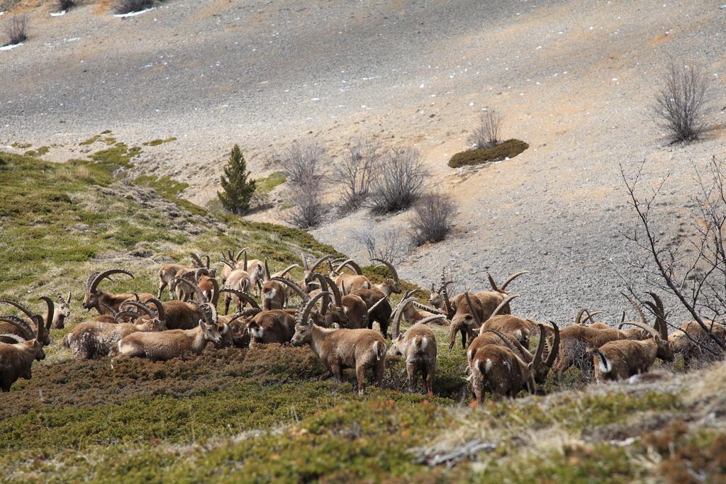 Hotel Le Mont Barral Creyers Bagian luar foto